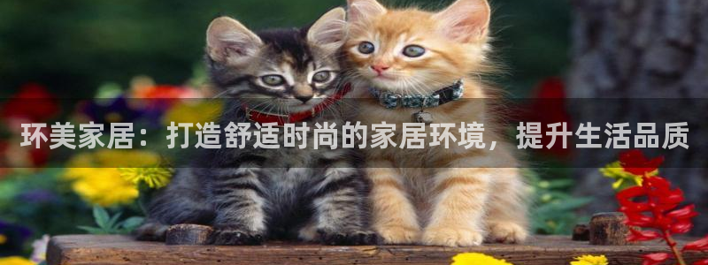 ug环球会员登陆