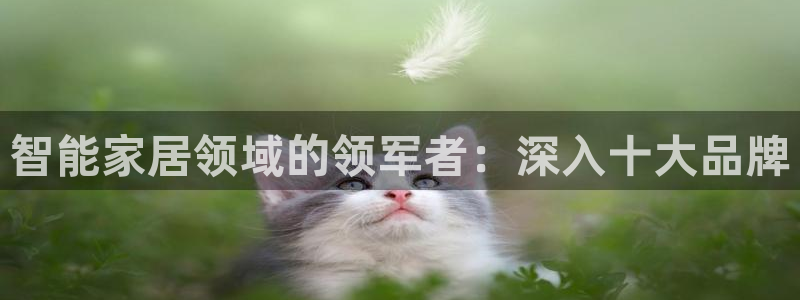ug环球游戏网站官网