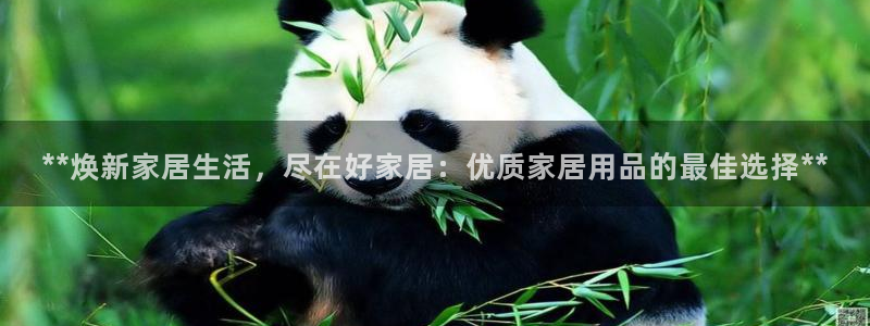 ug环球视讯延时软件