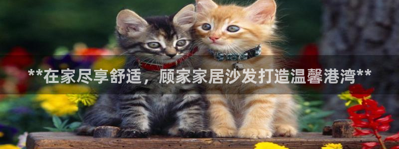 ug环球视讯真假