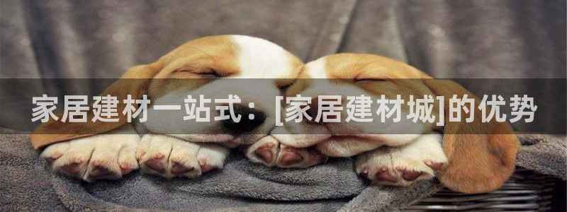 ug环球国际官网