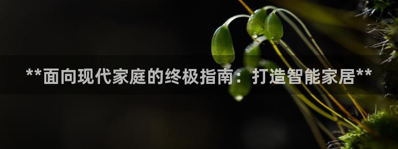 环球ug官网会员注册