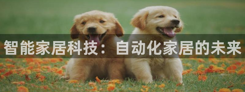 UG环球代理合作