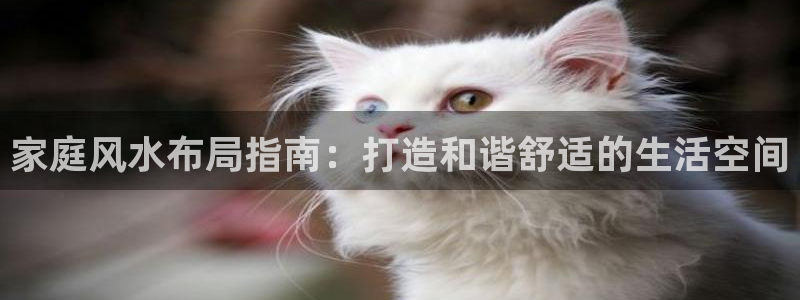 ug环球代理