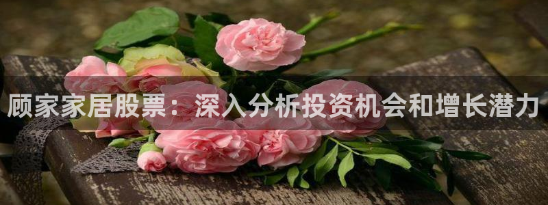UG环球会员官方