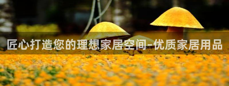 ug环球官网合作