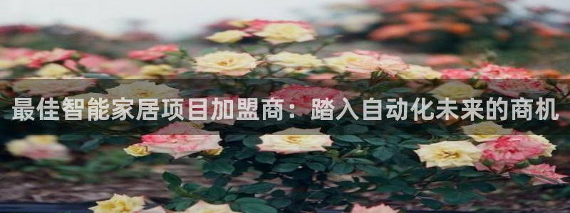 ug环球正网包杀