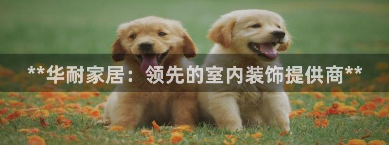 ug环球在线登录