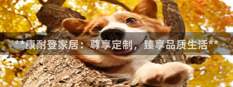 ug环球会员官方客服电话