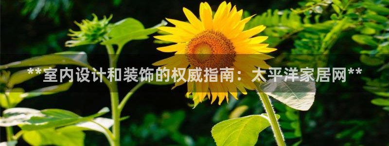 ug环球会员登录