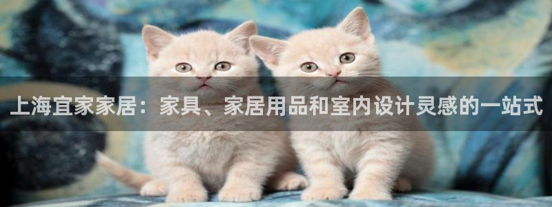 ug环球视讯延时软件