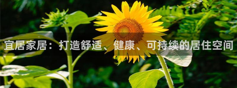 ug环球代理开户