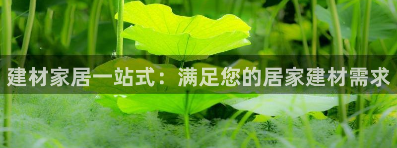 ug环球app下载