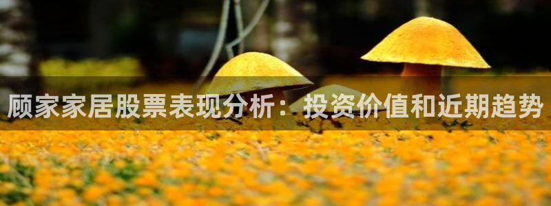 UG环球假网合作