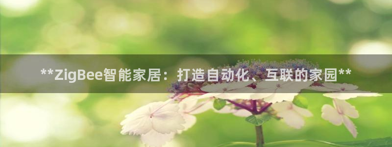 UG环球国际在线