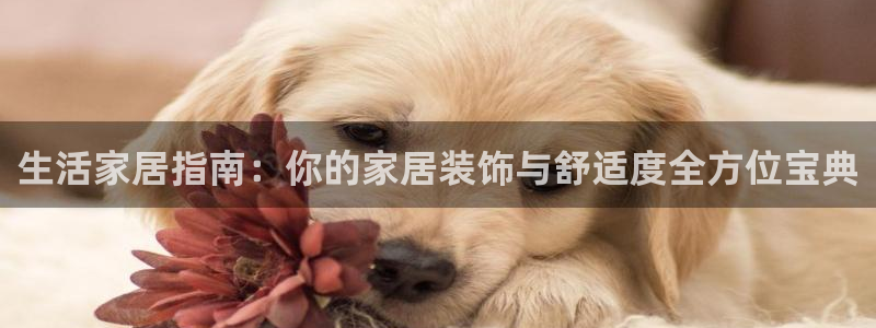 ug环球视讯真假