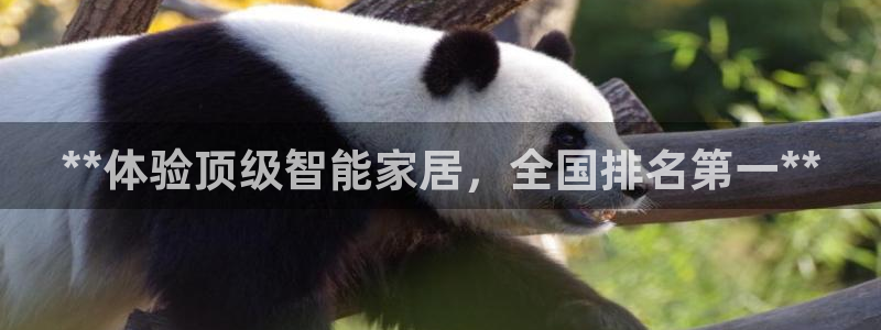 ug环球游戏网站官网