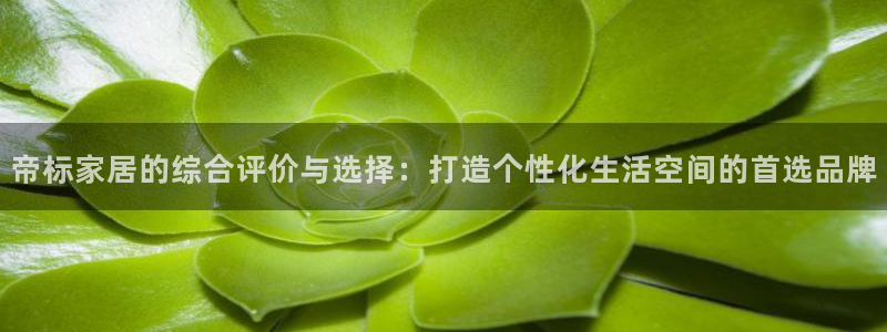 Ug环球网网址