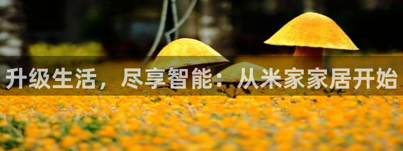 ug环球正网一比一