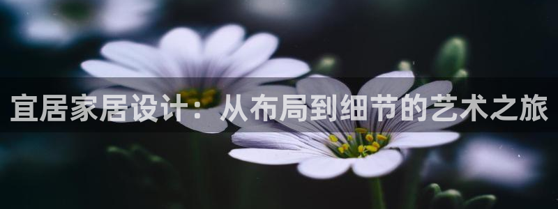 ug环球正网买分
