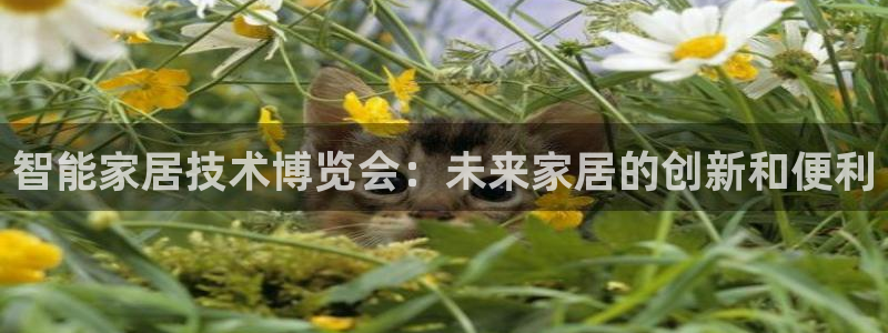 环球ug包杀网