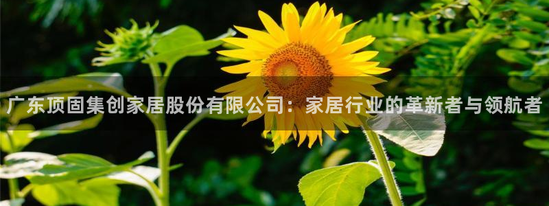 ug环球游戏网站官网
