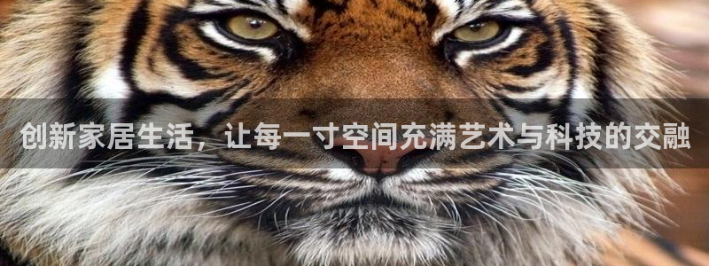 ug环球会员官方客服电话