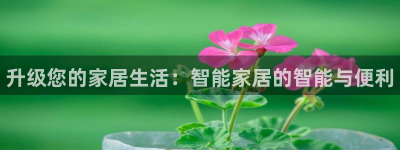ug环球会员