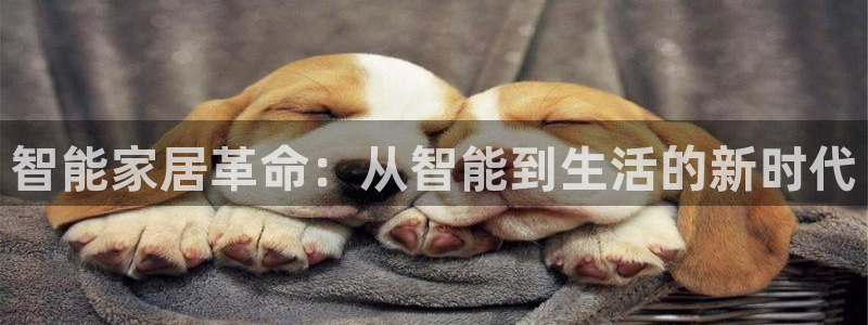 ug环球视讯官网