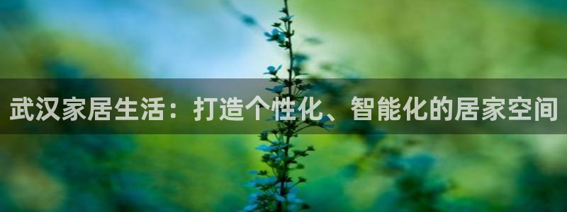 UG环球代理合作