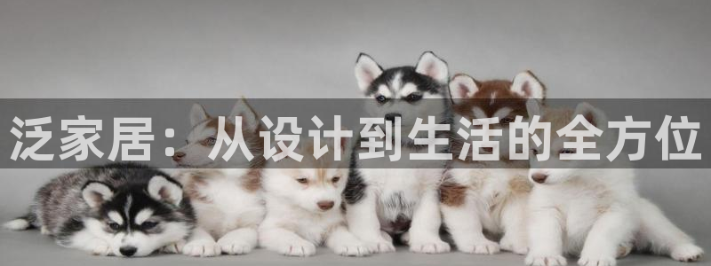 ug环球买代理