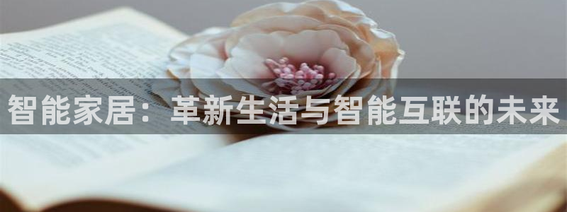 ug环球代理合作