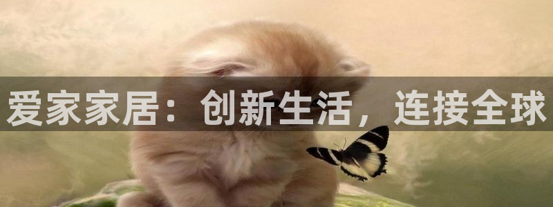 ug环球买代理