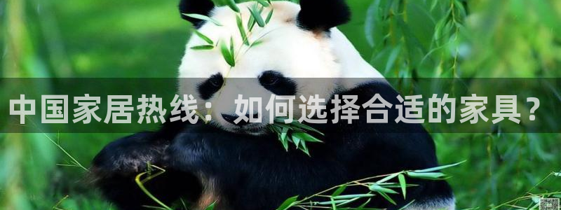 ug环球视讯真假