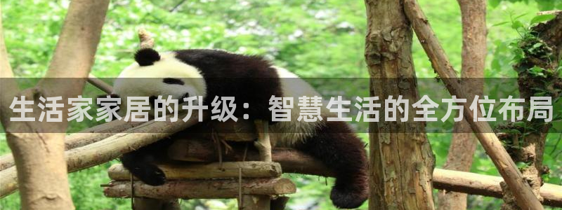 ug环球视讯真假