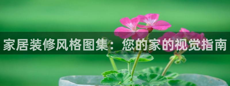 ug环球官网会员