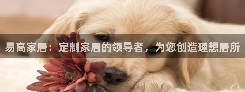 环球ug官网会员注册