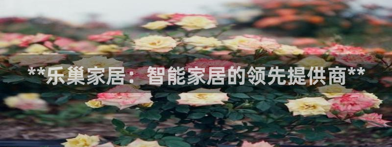 ug环球官网在线