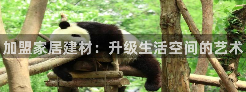 ug环球会员登录