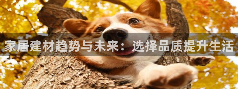 ug环球官网会员