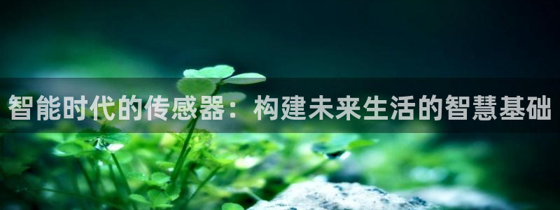 ug环球官网开户