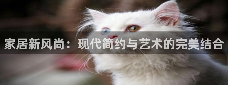 ug环球密码重置是多少位数