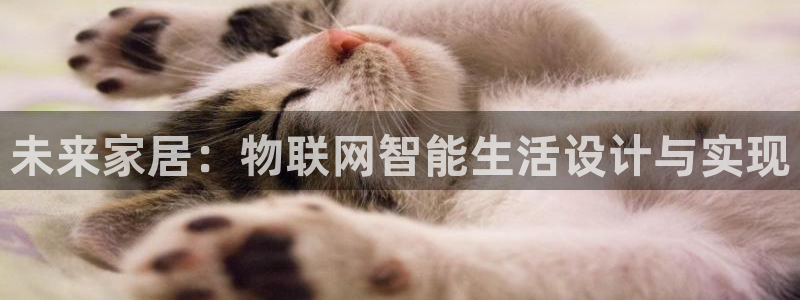 ug环球正网包杀