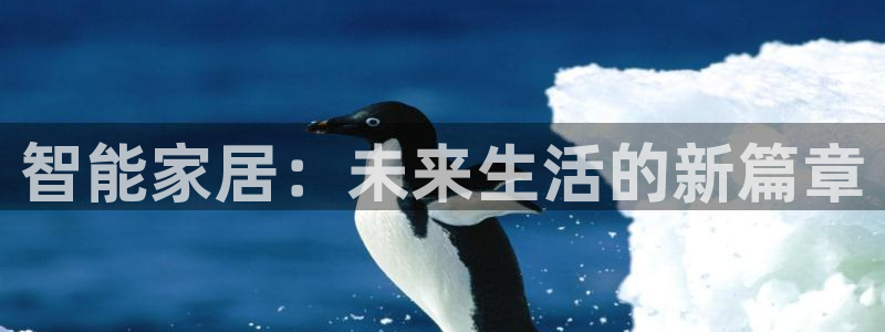 ug环球正网包杀