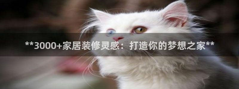 ug环球官网入口