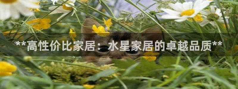 ug环球假网一比一人才