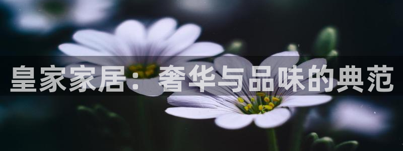 uG环球网站