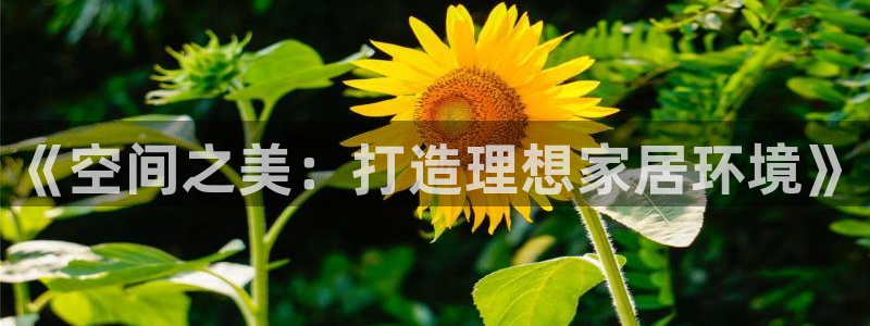 ug环球会员手机版下载官网