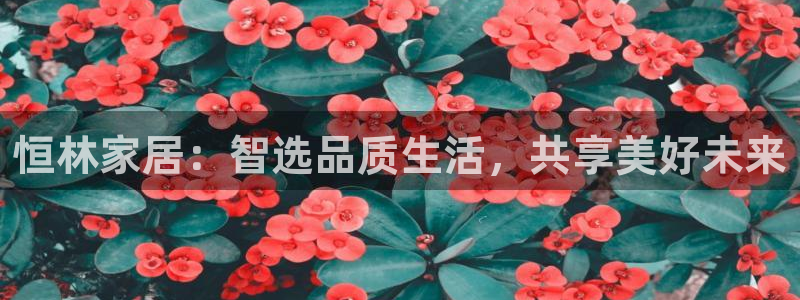 ug环球会员