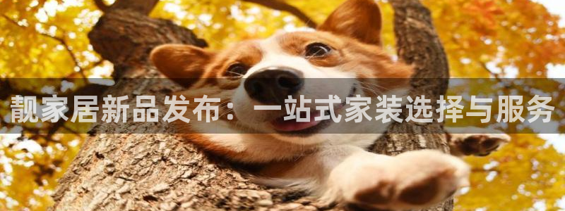 UG环球代理